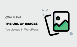 How to Get the URL of Images You Upload in WordPress 3